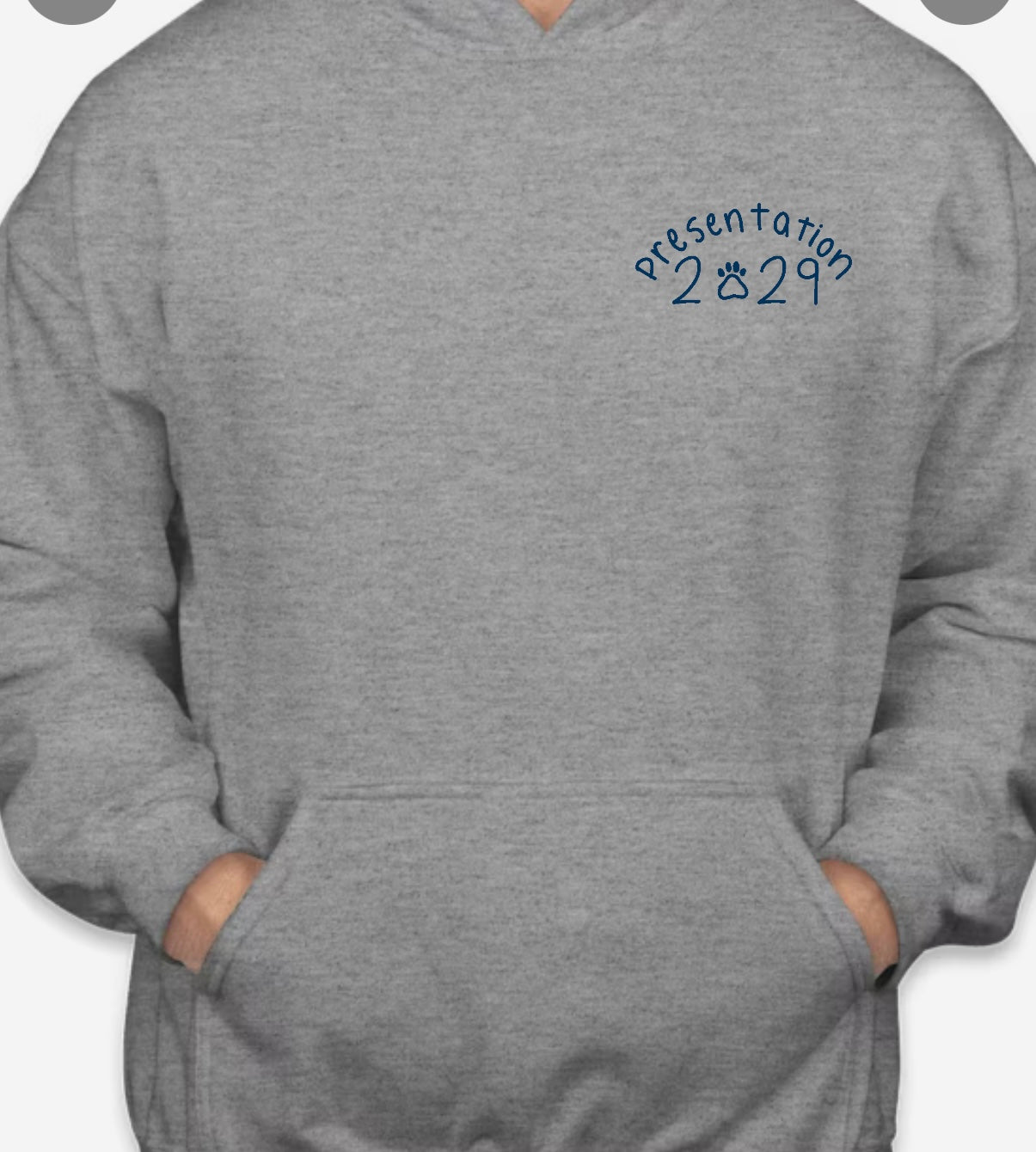 PRESALE-Class of 2029 Hoody