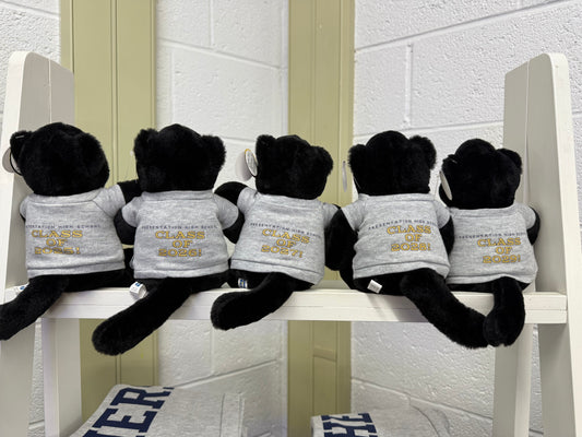 Class of Plush Panther